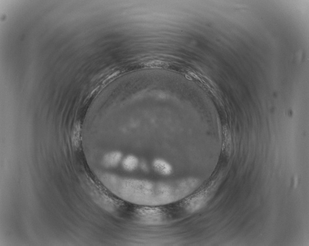 X0000085260189200703231725