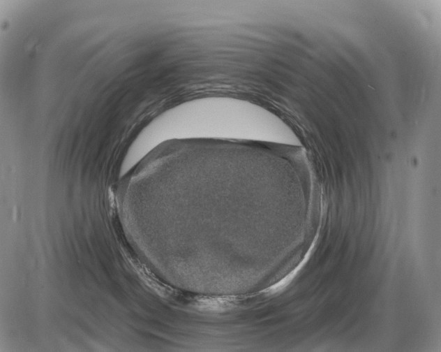 X0000085260190200703231725