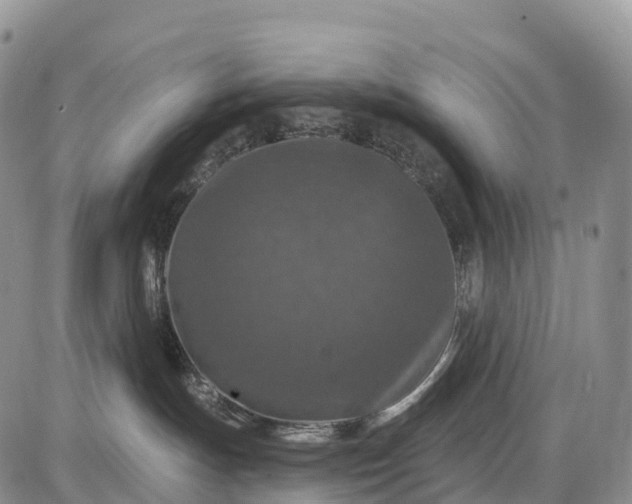 X0000085260191200703231725