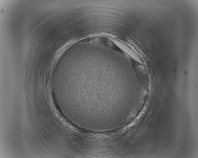 X0000085260193200703231724