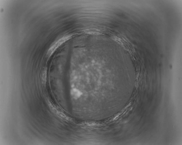 X0000085260194200703231724