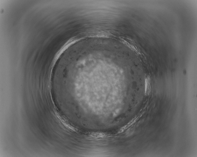 X0000085260195200703231724