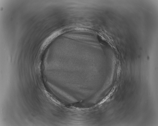 X0000085260197200703231724