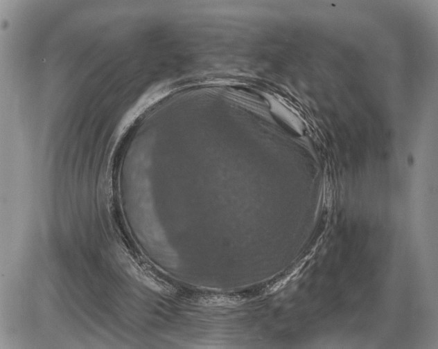 X0000085260198200703231724