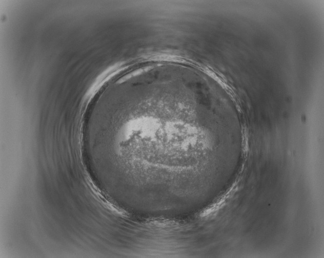 X0000085260199200703231724