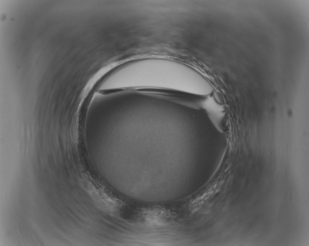 X0000085260200200703231724