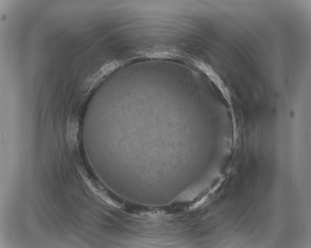 X0000085260201200703231724