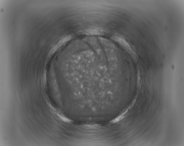 X0000085260202200703231724