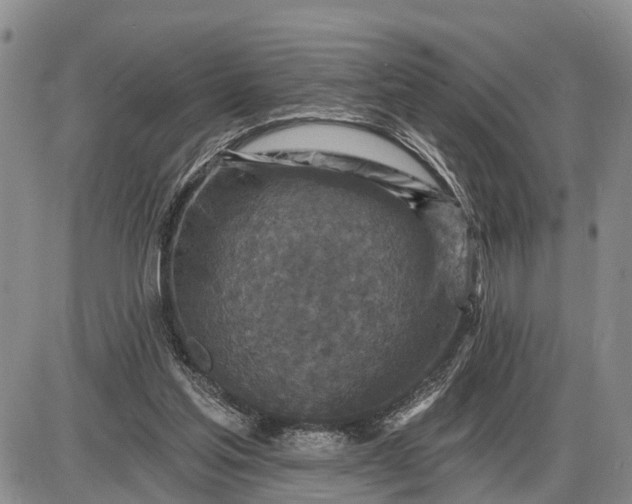 X0000085260205200703231724