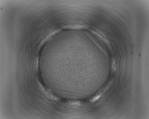 X0000085260206200703231724