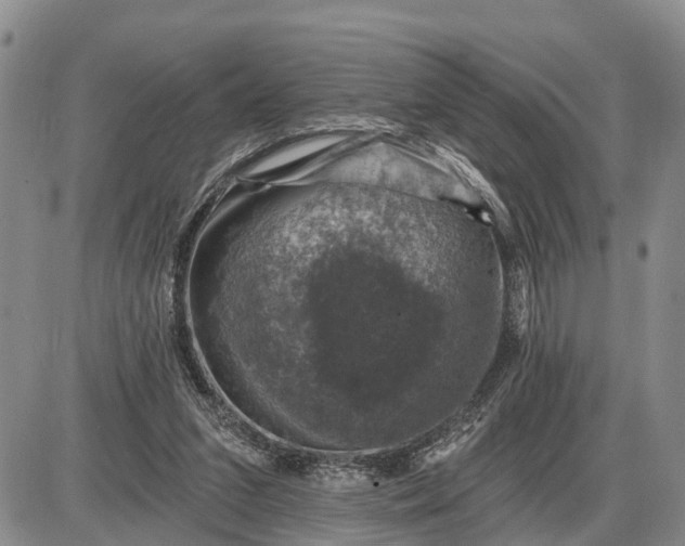 X0000085260207200703231724