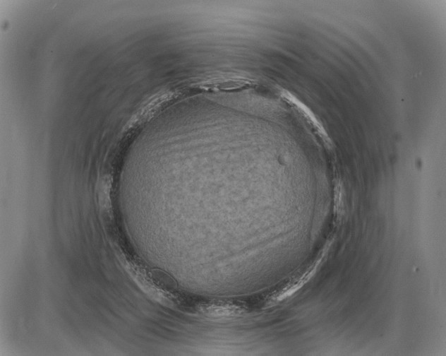 X0000085260209200703231724