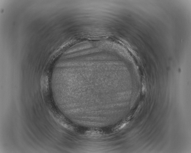 X0000085260211200703231724