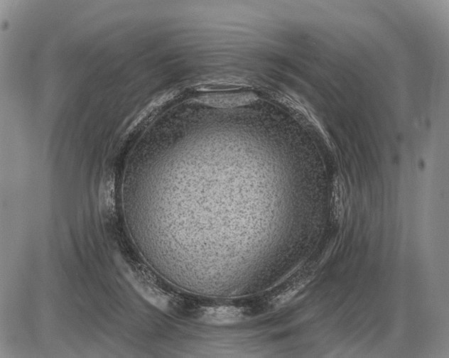 X0000085260212200703231724