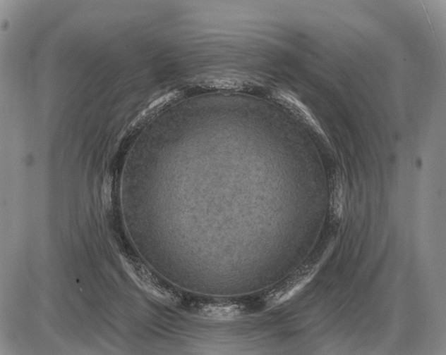 X0000085260213200703231724