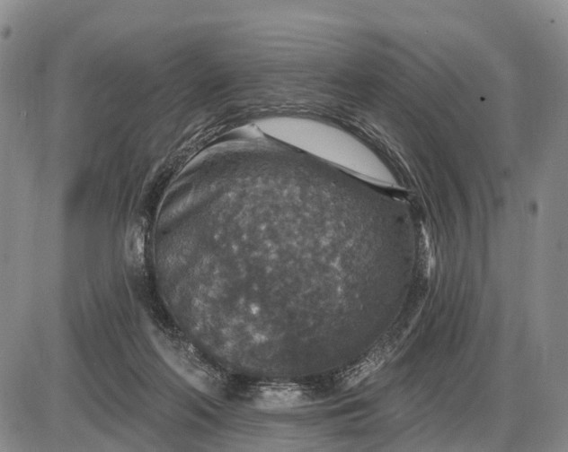 X0000085260214200703231724