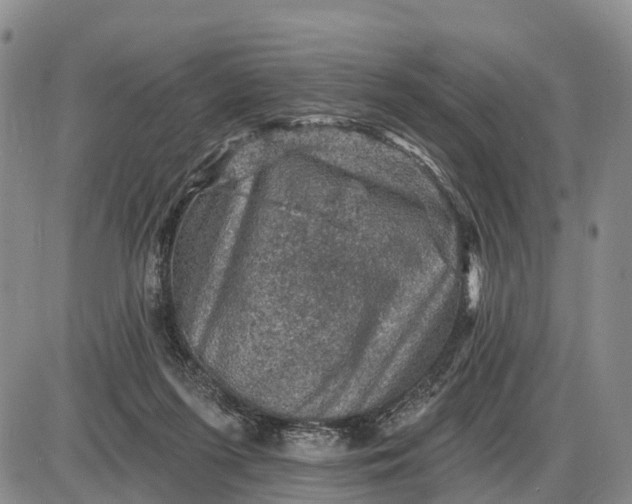 X0000085260215200703231724