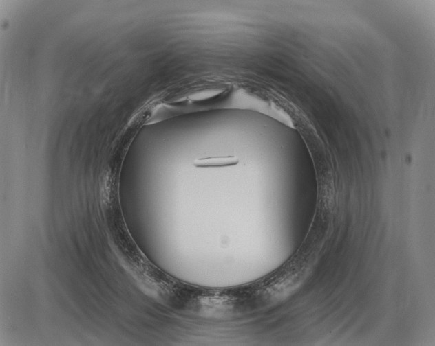 X0000085260216200703231724