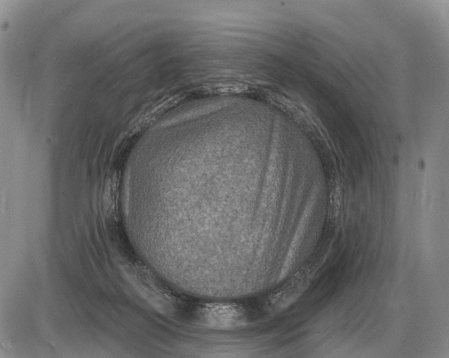 X0000085260218200703231724