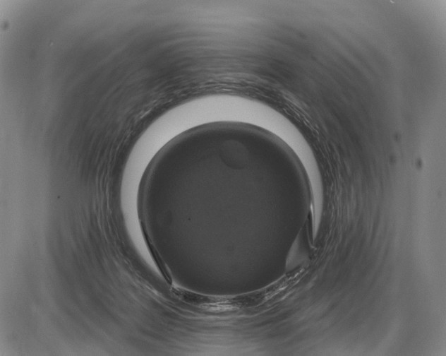 X0000085260219200703231723