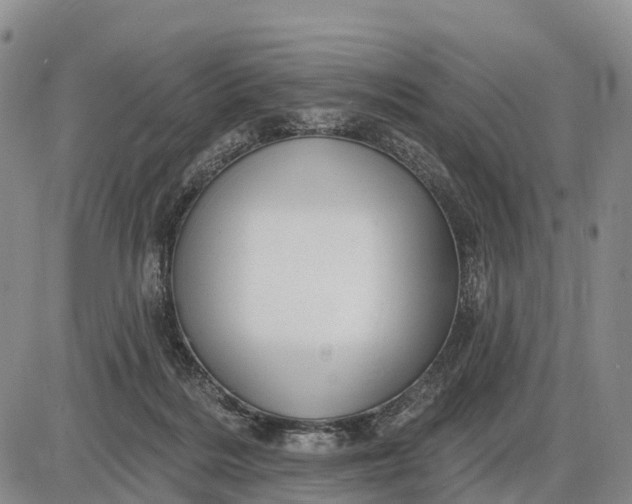 X0000085260220200703231723