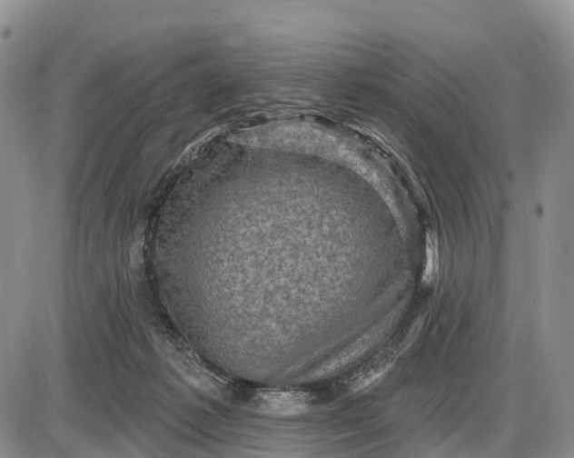 X0000085260221200703231723