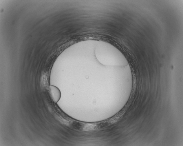 X0000085260222200703231723