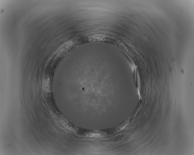 X0000085260224200703231723