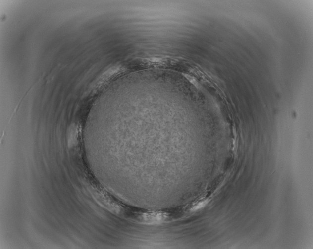 X0000085260225200703231723