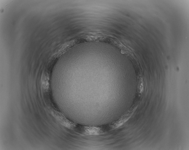 X0000085260226200703231723