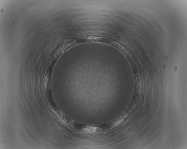 X0000085260227200703231723