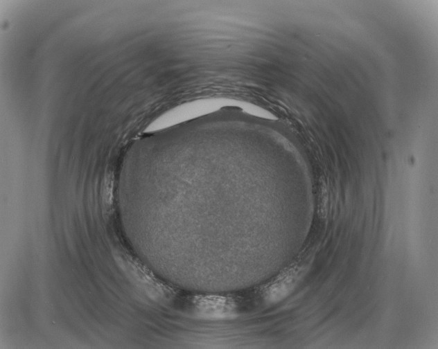 X0000085260230200703231723