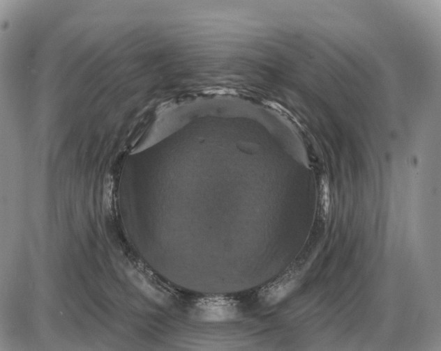 X0000085260231200703231723