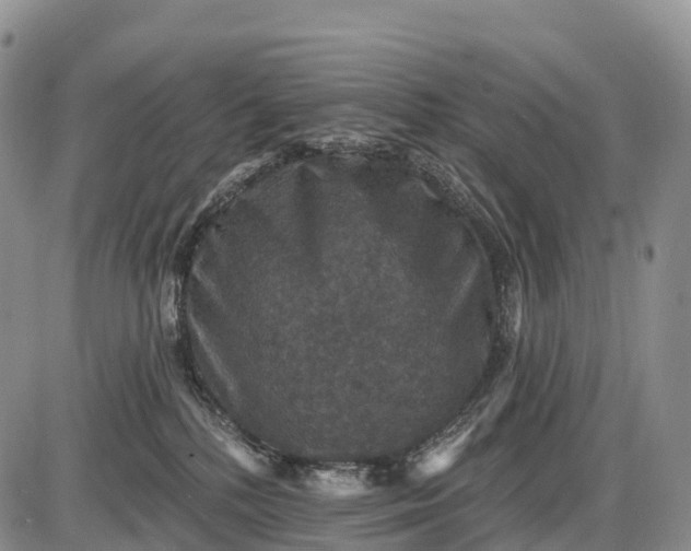 X0000085260232200703231723