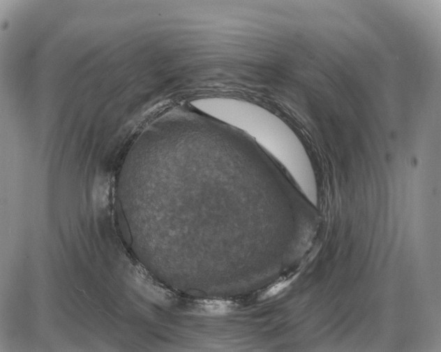 X0000085260233200703231723