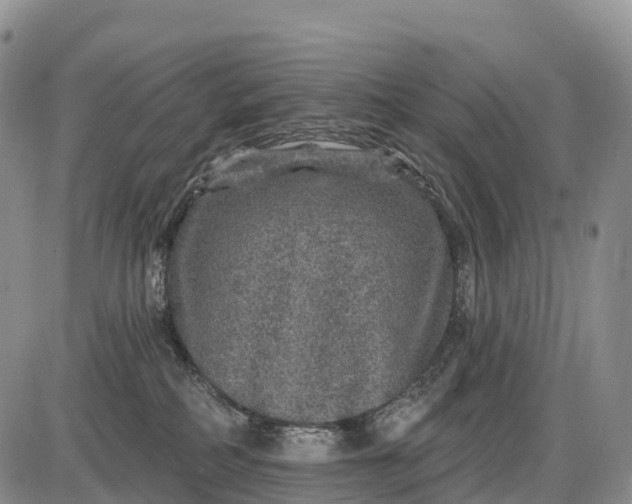 X0000085260234200703231723