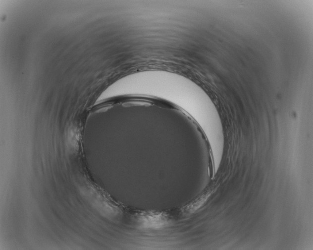 X0000085260235200703231723