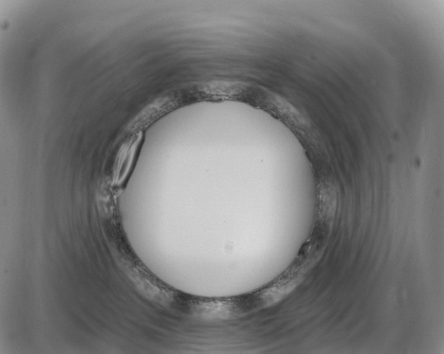 X0000085260237200703231723