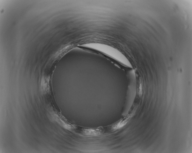 X0000085260239200703231723