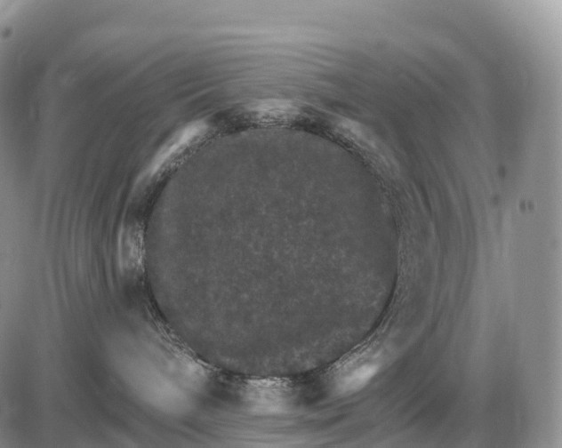 X0000085260240200703231723