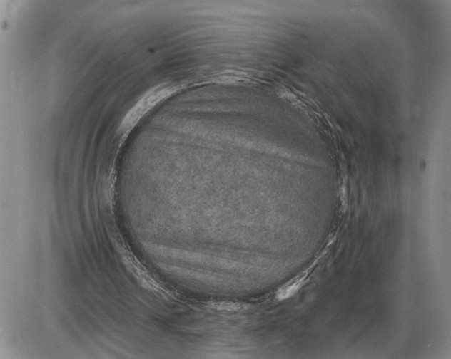 X0000085260242200703231722