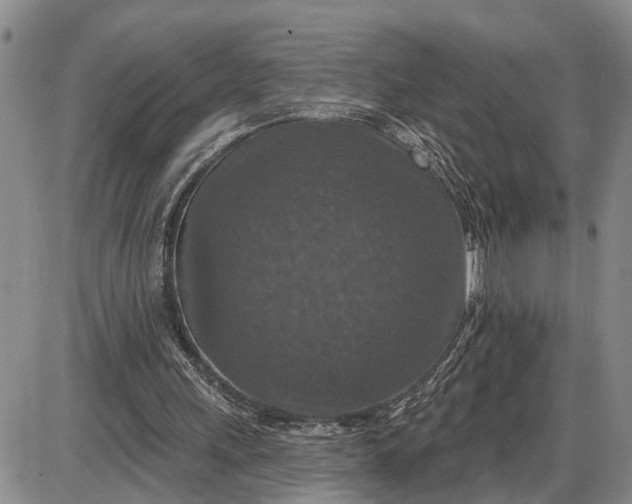 X0000085260243200703231722