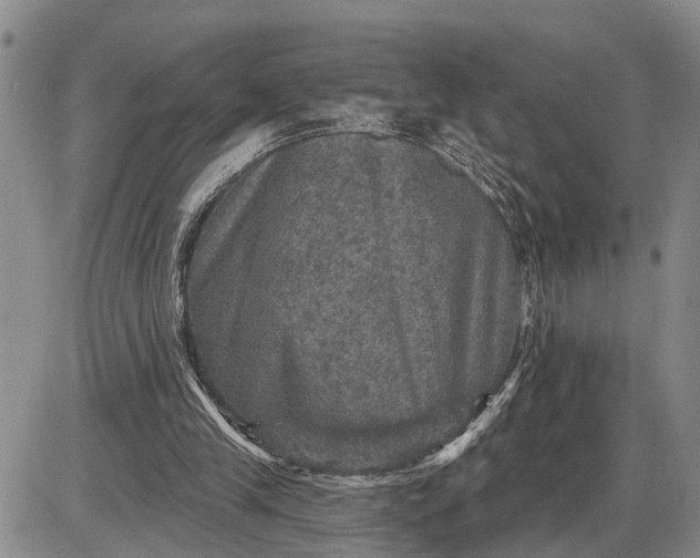 X0000085260245200703231722