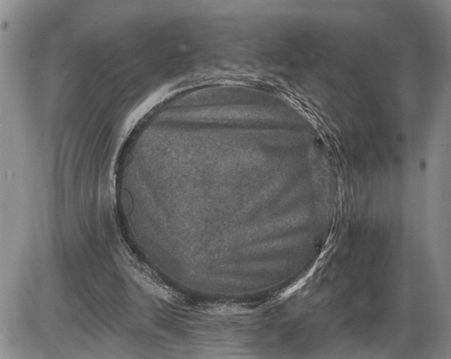 X0000085260246200703231722