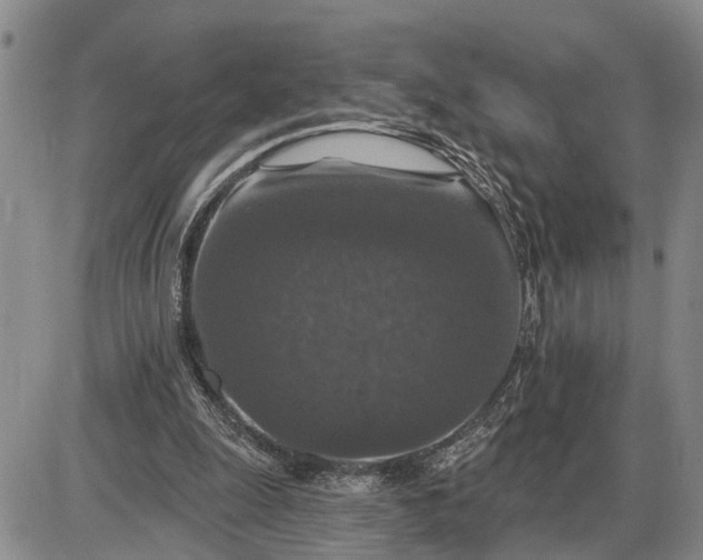 X0000085260247200703231722