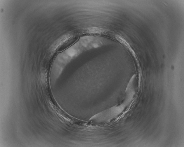 X0000085260249200703231722