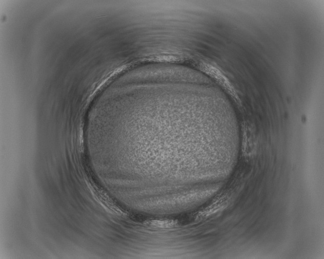 X0000085260251200703231722