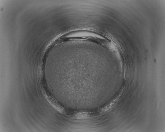 X0000085260252200703231723