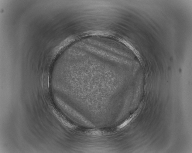 X0000085260253200703231723