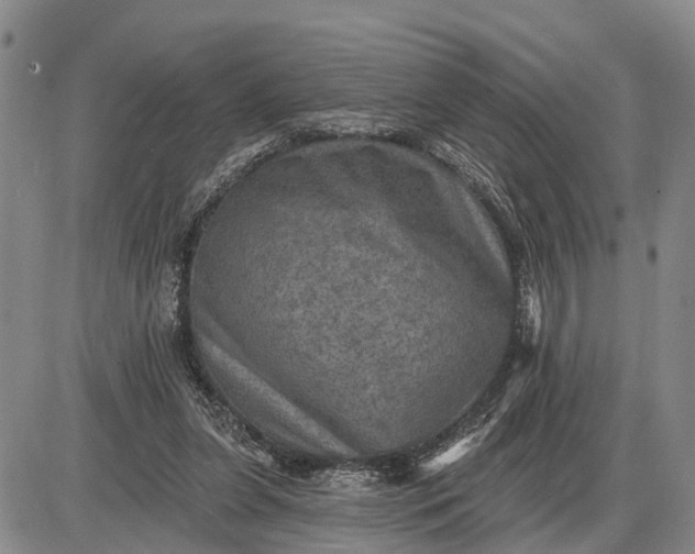 X0000085260255200703231723